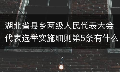 湖北省县乡两级人民代表大会代表选举实施细则第5条有什么规定