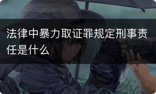 法律中暴力取证罪规定刑事责任是什么