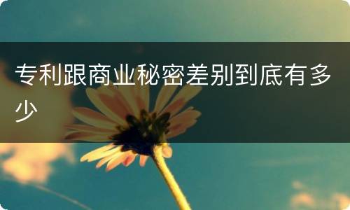 专利跟商业秘密差别到底有多少