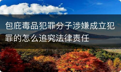 包庇毒品犯罪分子涉嫌成立犯罪的怎么追究法律责任