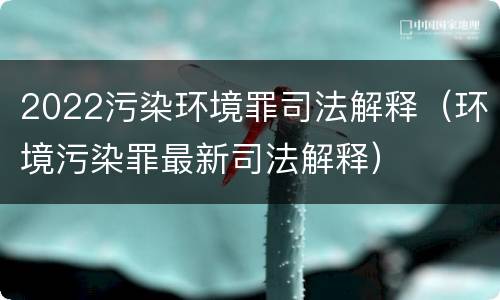 2022污染环境罪司法解释（环境污染罪最新司法解释）