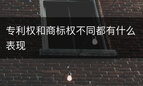 专利权和商标权不同都有什么表现