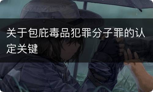 关于包庇毒品犯罪分子罪的认定关键