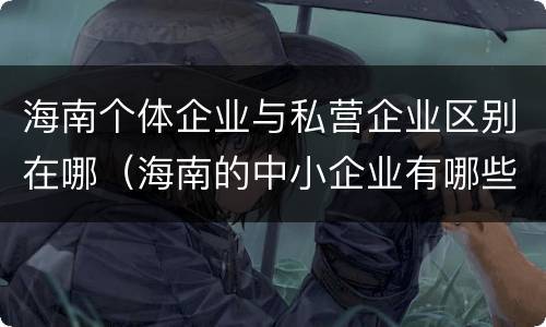 海南个体企业与私营企业区别在哪（海南的中小企业有哪些）