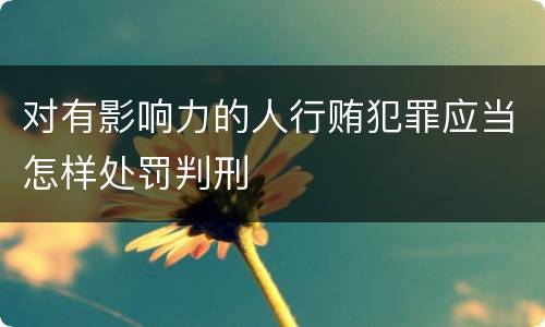 对有影响力的人行贿犯罪应当怎样处罚判刑