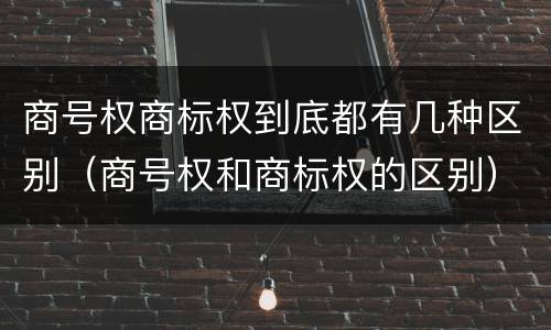 商号权商标权到底都有几种区别（商号权和商标权的区别）