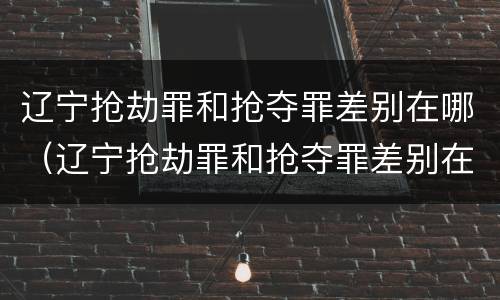 辽宁抢劫罪和抢夺罪差别在哪（辽宁抢劫罪和抢夺罪差别在哪查）