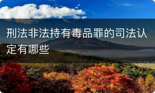 刑法非法持有毒品罪的司法认定有哪些