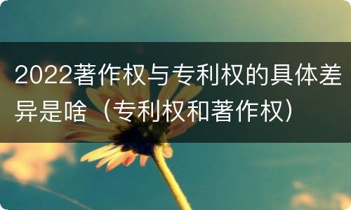 2022著作权与专利权的具体差异是啥（专利权和著作权）