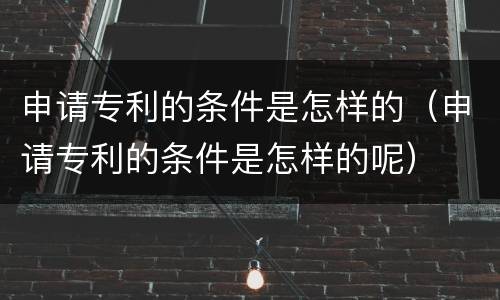 申请专利的条件是怎样的(申请专利的条件是怎样的呢)