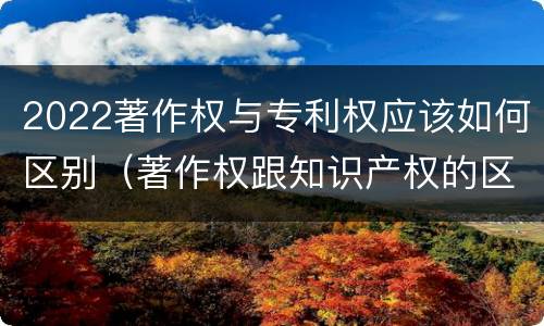 2022著作权与专利权应该如何区别（著作权跟知识产权的区别）