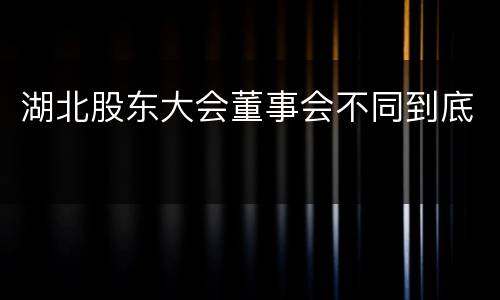 湖北股东大会董事会不同到底