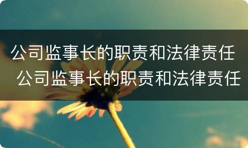 公司监事长的职责和法律责任 公司监事长的职责和法律责任怎么写