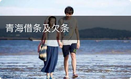 青海借条及欠条
