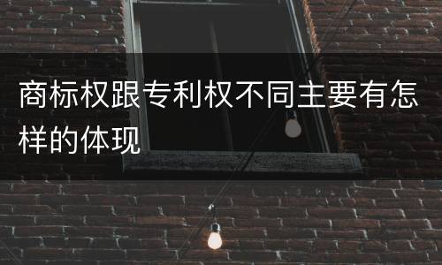 商标权跟专利权不同主要有怎样的体现
