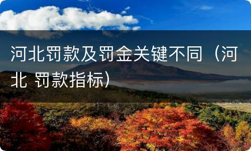 河北罚款及罚金关键不同（河北 罚款指标）