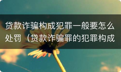 贷款诈骗构成犯罪一般要怎么处罚（贷款诈骗罪的犯罪构成）