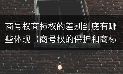 商号权商标权的差别到底有哪些体现（商号权的保护和商标权的保护一样是全国性范围的）