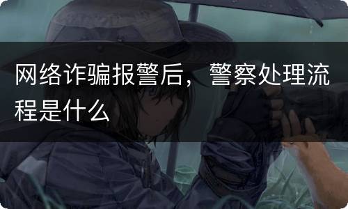 网络诈骗报警后，警察处理流程是什么