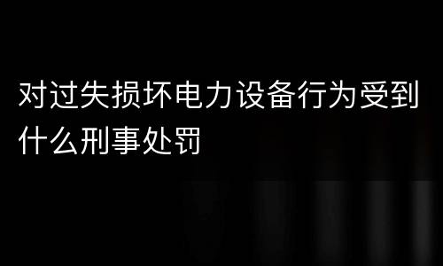 对过失损坏电力设备行为受到什么刑事处罚