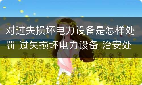 对过失损坏电力设备是怎样处罚 过失损坏电力设备 治安处罚