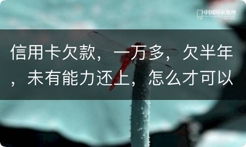 信用卡欠款，一万多，欠半年，未有能力还上，怎么才可以知道自己是否已被通缉