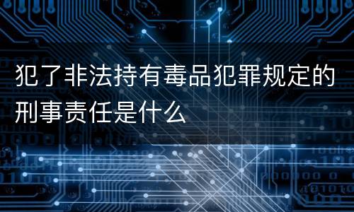 犯了非法持有毒品犯罪规定的刑事责任是什么