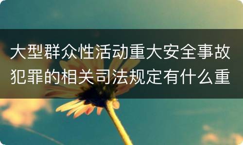 大型群众性活动重大安全事故犯罪的相关司法规定有什么重要内容
