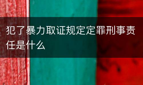 犯了暴力取证规定定罪刑事责任是什么