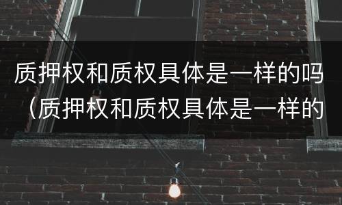 质押权和质权具体是一样的吗（质押权和质权具体是一样的吗）