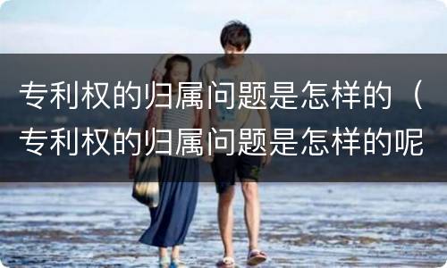 专利权的归属问题是怎样的（专利权的归属问题是怎样的呢）