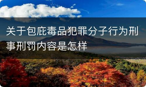 关于包庇毒品犯罪分子行为刑事刑罚内容是怎样