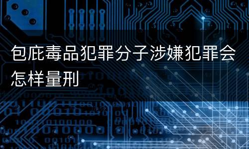 包庇毒品犯罪分子涉嫌犯罪会怎样量刑