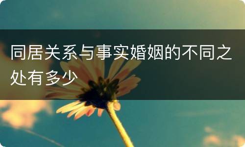 同居关系与事实婚姻的不同之处有多少