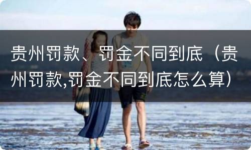 贵州罚款、罚金不同到底（贵州罚款,罚金不同到底怎么算）