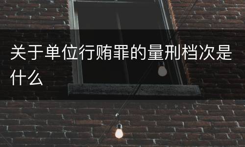关于单位行贿罪的量刑档次是什么