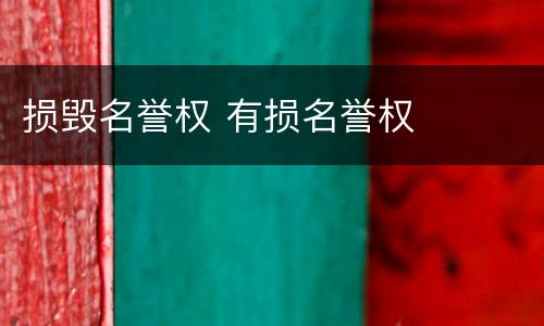 损毁名誉权 有损名誉权