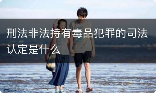 刑法非法持有毒品犯罪的司法认定是什么