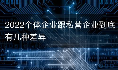 2022个体企业跟私营企业到底有几种差异