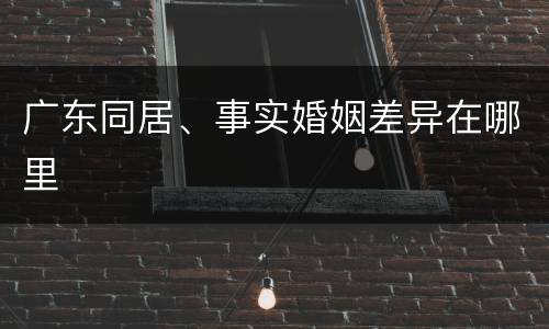 广东同居、事实婚姻差异在哪里