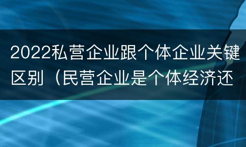 2022私营企业跟个体企业关键区别（民营企业是个体经济还是私营经济）