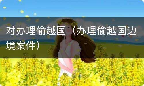 对办理偷越国（办理偷越国边境案件）
