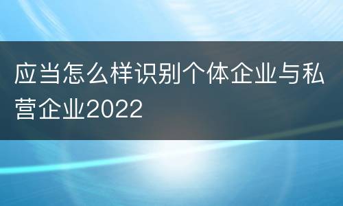 应当怎么样识别个体企业与私营企业2022