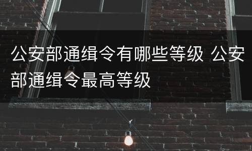 公安部通缉令有哪些等级 公安部通缉令最高等级