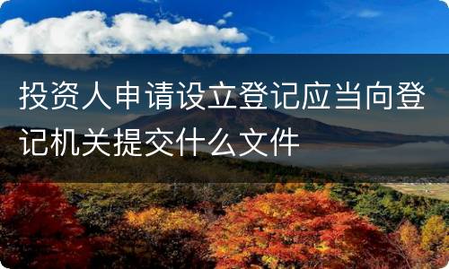 投资人申请设立登记应当向登记机关提交什么文件