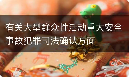有关大型群众性活动重大安全事故犯罪司法确认方面