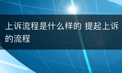 上诉流程是什么样的 提起上诉的流程