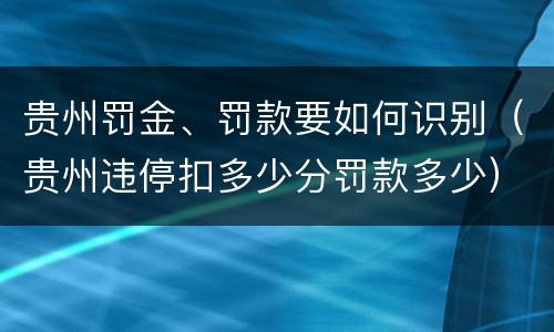 贵州罚金、罚款要如何识别（贵州违停扣多少分罚款多少）