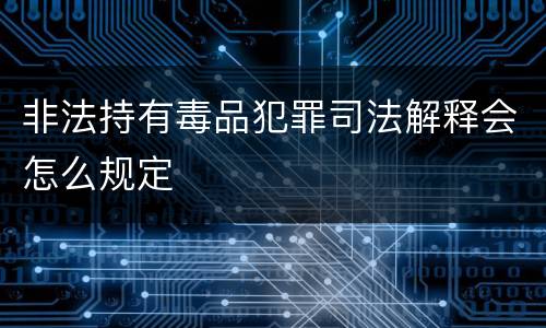 非法持有毒品犯罪司法解释会怎么规定