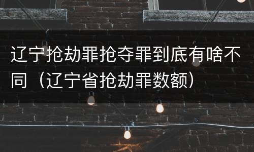辽宁抢劫罪抢夺罪到底有啥不同（辽宁省抢劫罪数额）